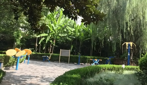 嫡女归来，邪王的一品宠妃
